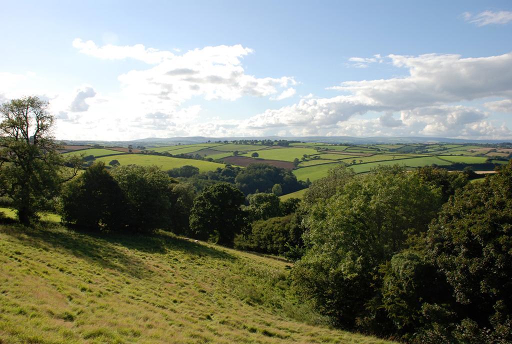 Kerswell Farmhouse Totnes Exterior photo